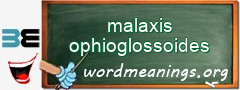 WordMeaning blackboard for malaxis ophioglossoides